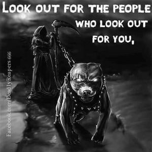 Meet your Posher, Jayden